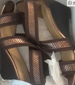 CL Laundry shoes (Snake-Gore) - size 8.5